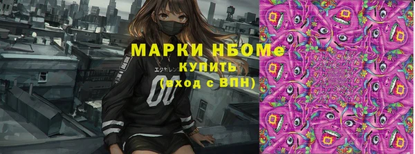 крисы Осташков