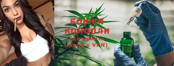 крисы Осташков