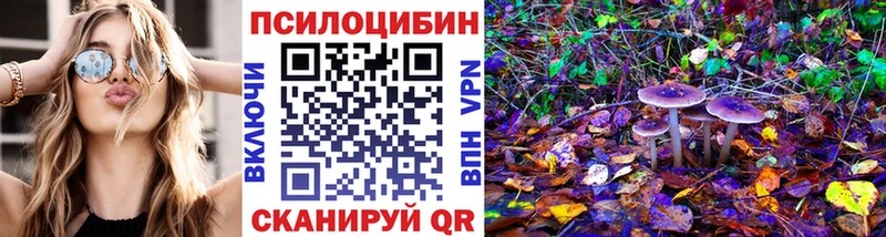 Псилоцибиновые грибы Cubensis  Усинск 