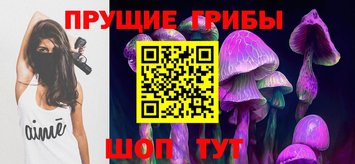 Галлюциногенные грибы Psilocybine cubensis Усинск