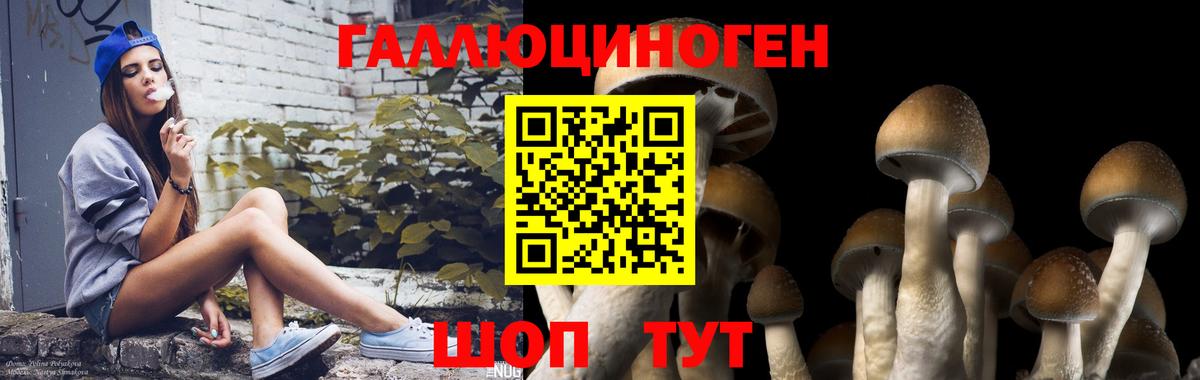 Усинск  купить   Вход с VPN  Галлюциногенные грибы мухоморы 